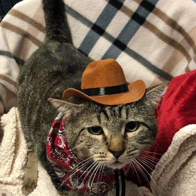 Waylon